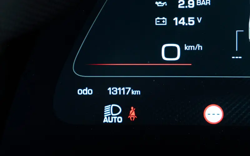 Ferrari Purosangue * ATELIER * FULL CARBON * MASSAGE * FULL *  - 151440